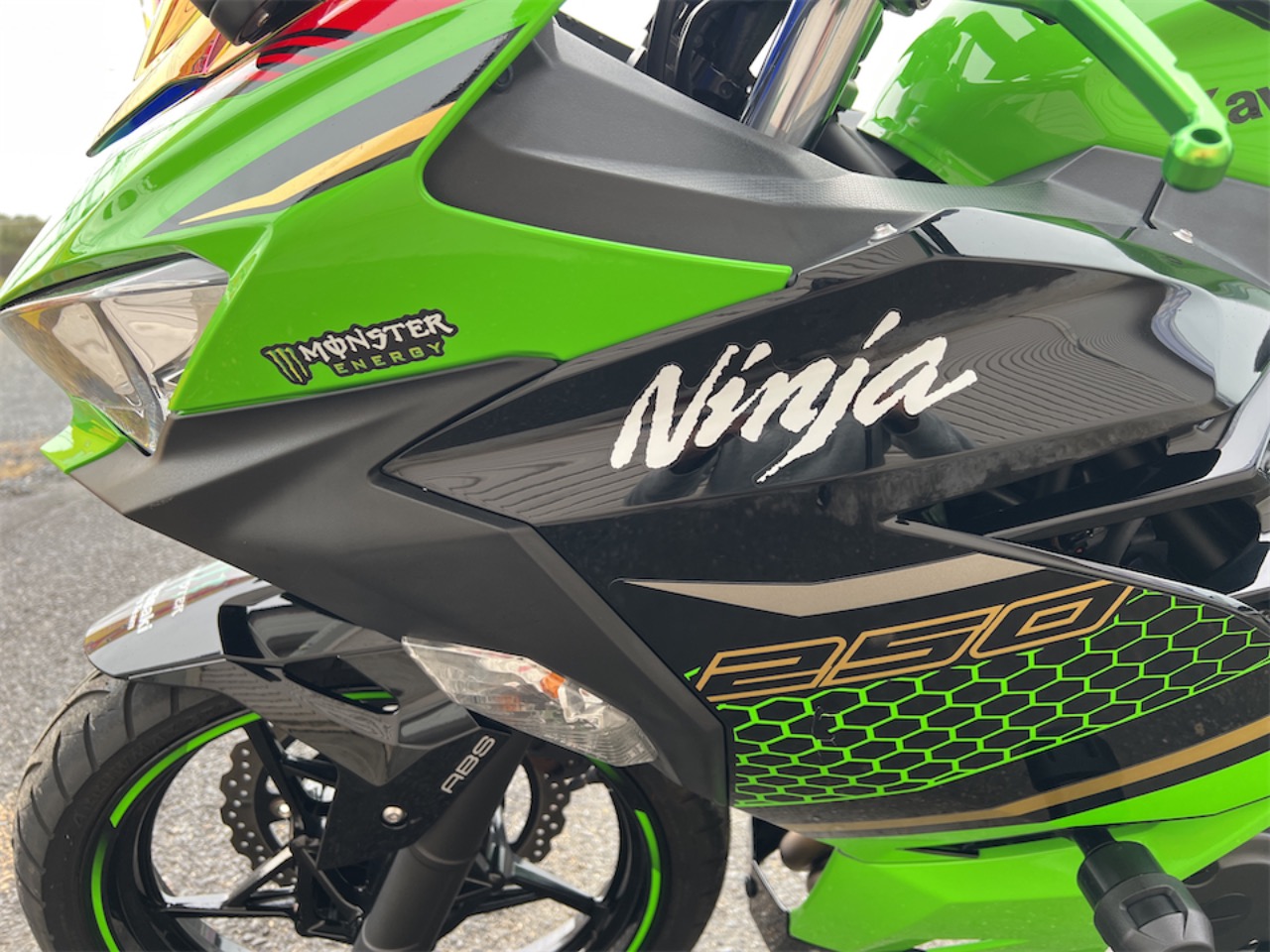 Ninja250 KRTエディション/2020年式/カスタム多数/極上コンディション - 画像 (12)